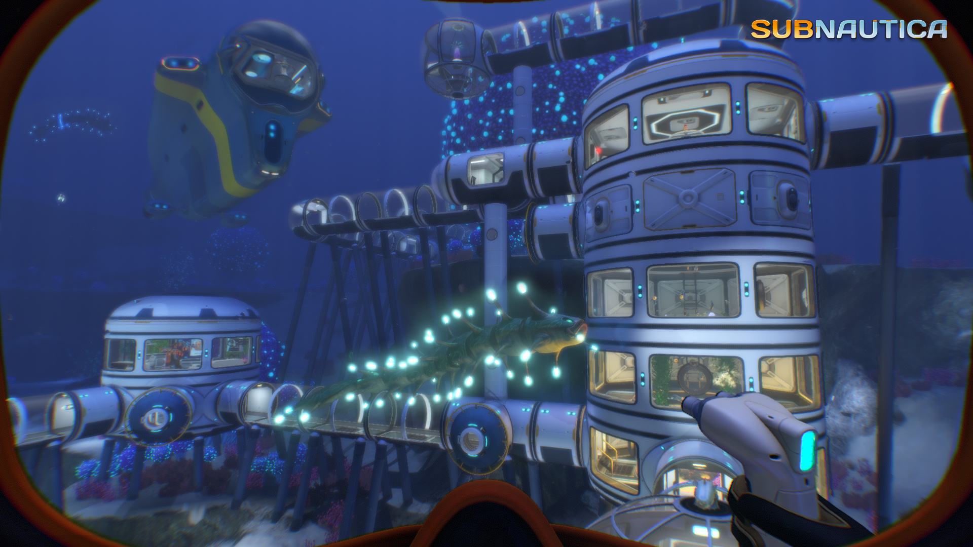 深海迷航礁背鱼蛋代码图片
