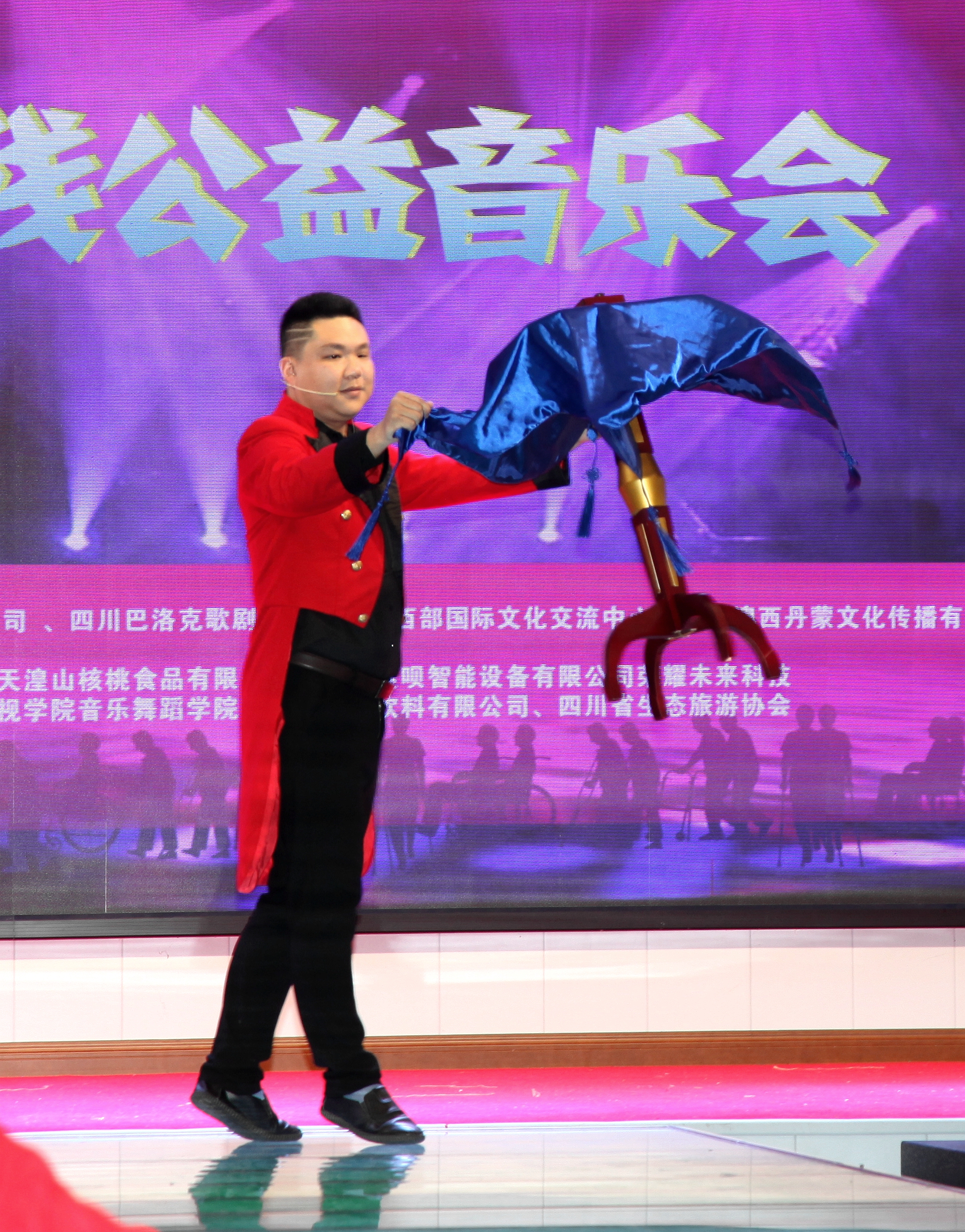 共享蓝天助残公益音乐会在成都举行