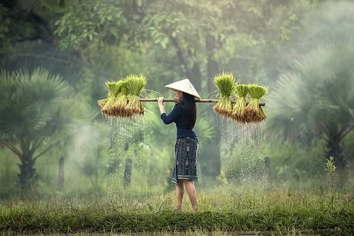 今日劳动节，关于“劳动”的古诗词，你知道多少？