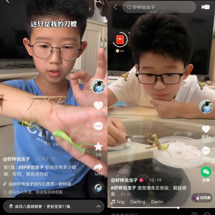 “人类满级幼崽”上课走红，网友：这不是后浪是海啸