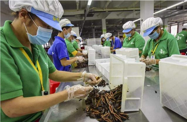 王继业失明后，靠卖槟榔致富，留下10亿遗产引发婆媳大战