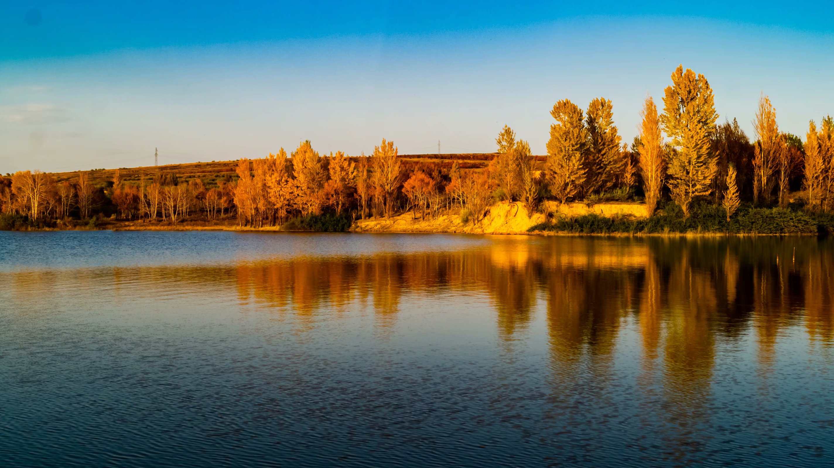 建筑系大学排名中国（高考择校）