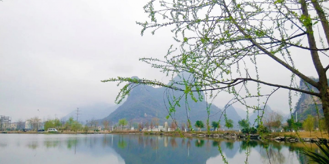 桂林电子科技大学法学考研难度、报录情况分析