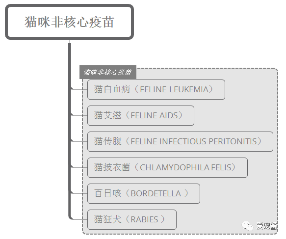 自家猫咪需要打狂犬针吗？