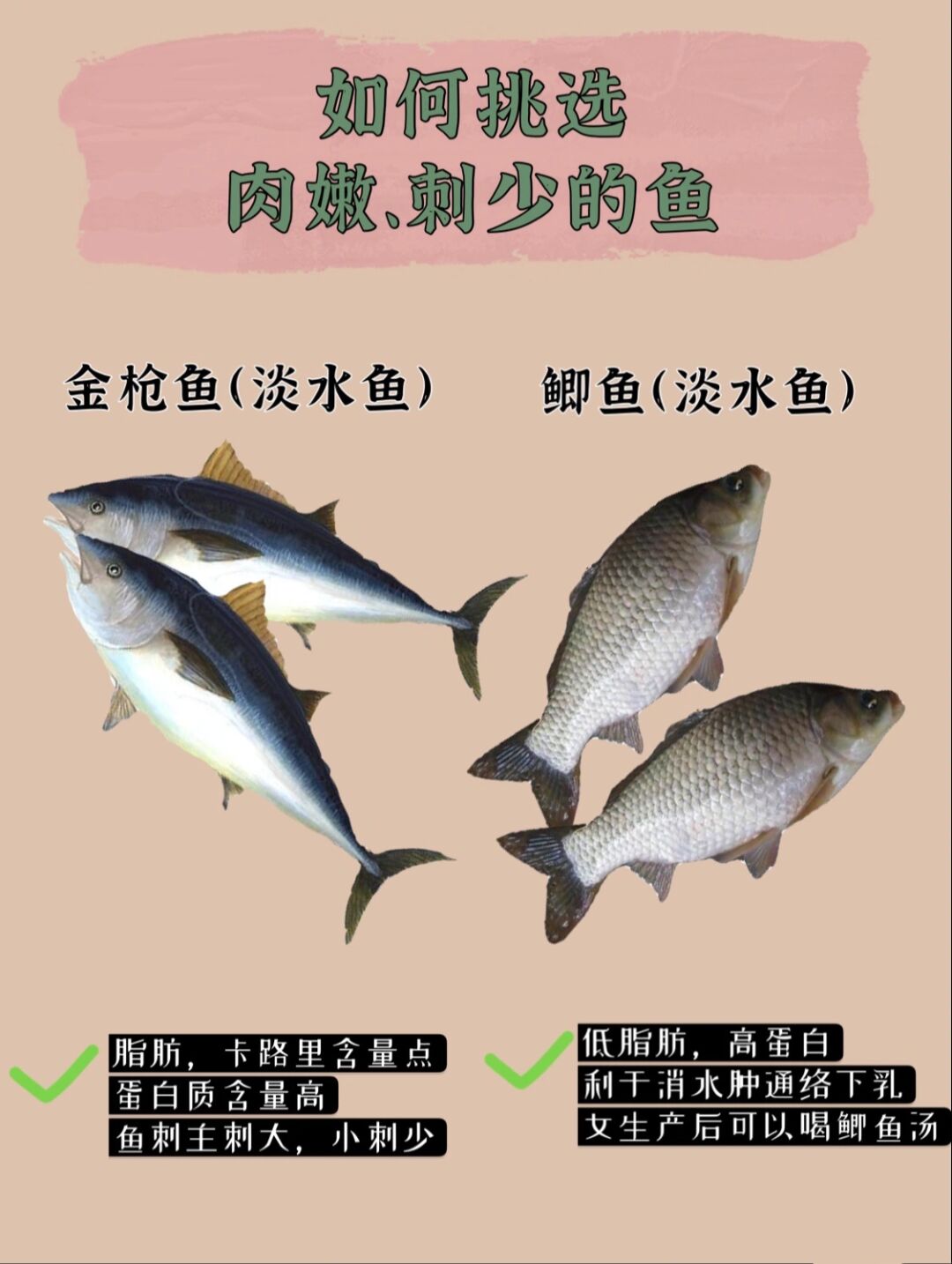 白水鱼刺多吗,和鲫鱼哪个刺多_极限路亚