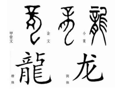 龙究竟是什么呢?