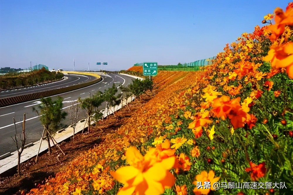 行車知識(shí) ｜開車走高速公路必須要知道的安全知識(shí)。