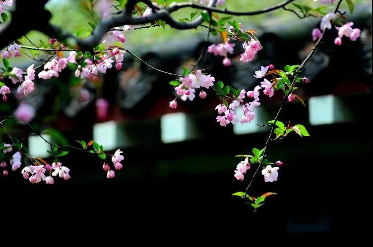 神仙颜值！坐拥