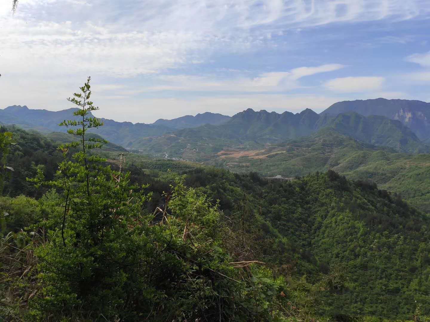 山中野草逢春绿，春风不知杨柳荫，春天的大山真的美不胜收