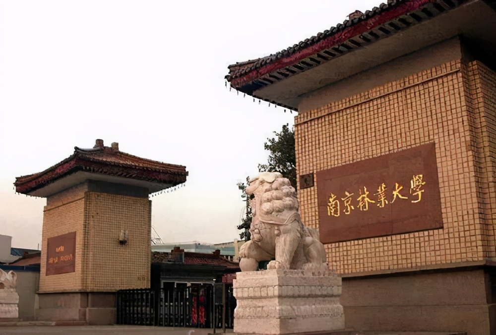 南京林业大学研究生专业目录「参考」