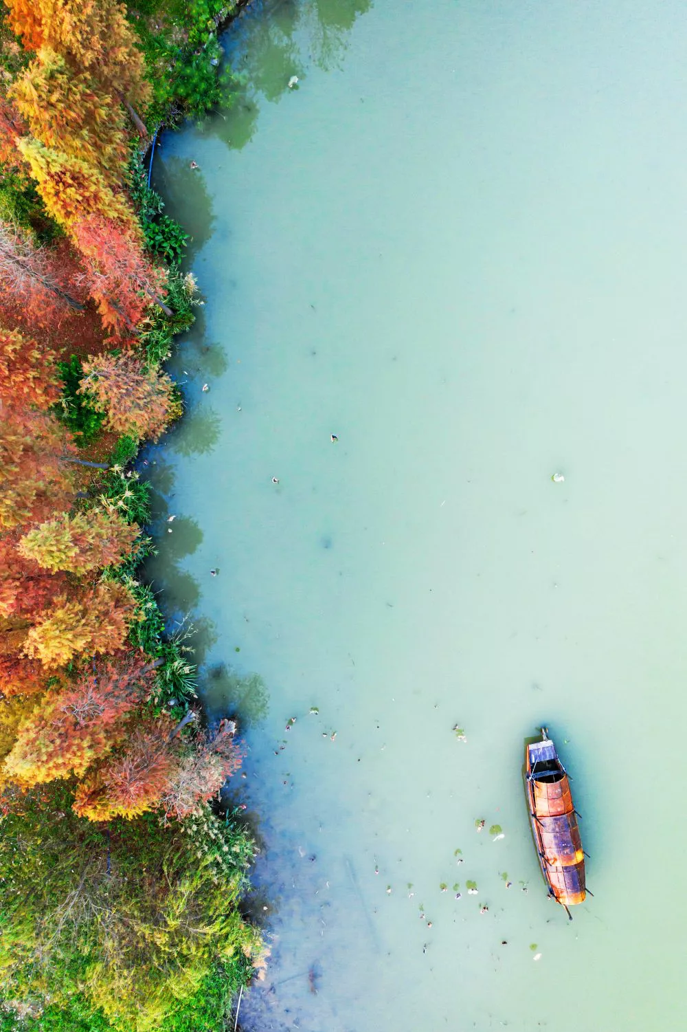 海珠湿地，要出圈了！