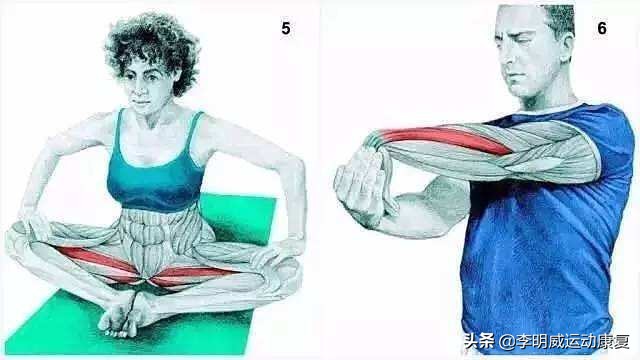 如何有效瘦小腿？
