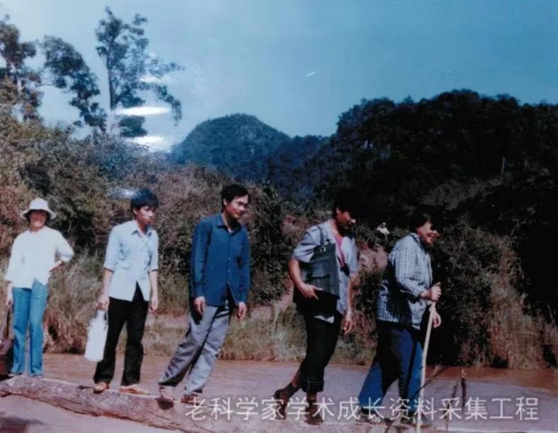 “我的根在中国，我的事业在中国”，她用最美奋斗书写入党申请