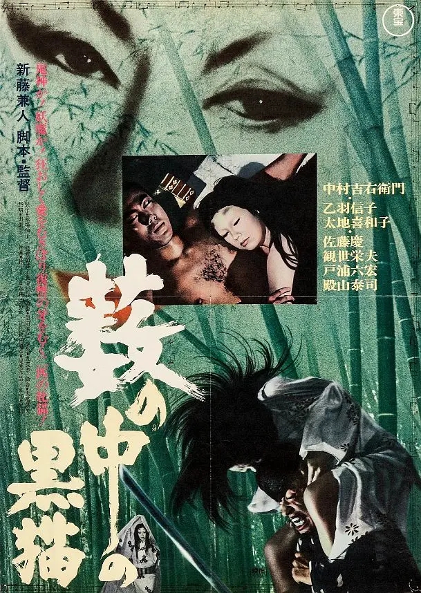 评分最高的十大日本恐怖片，《午夜凶铃》第6，《咒怨》未进前三