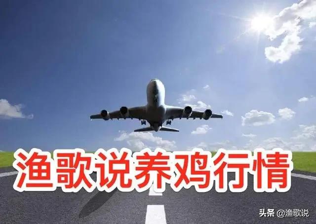 16渔歌说禽业行情