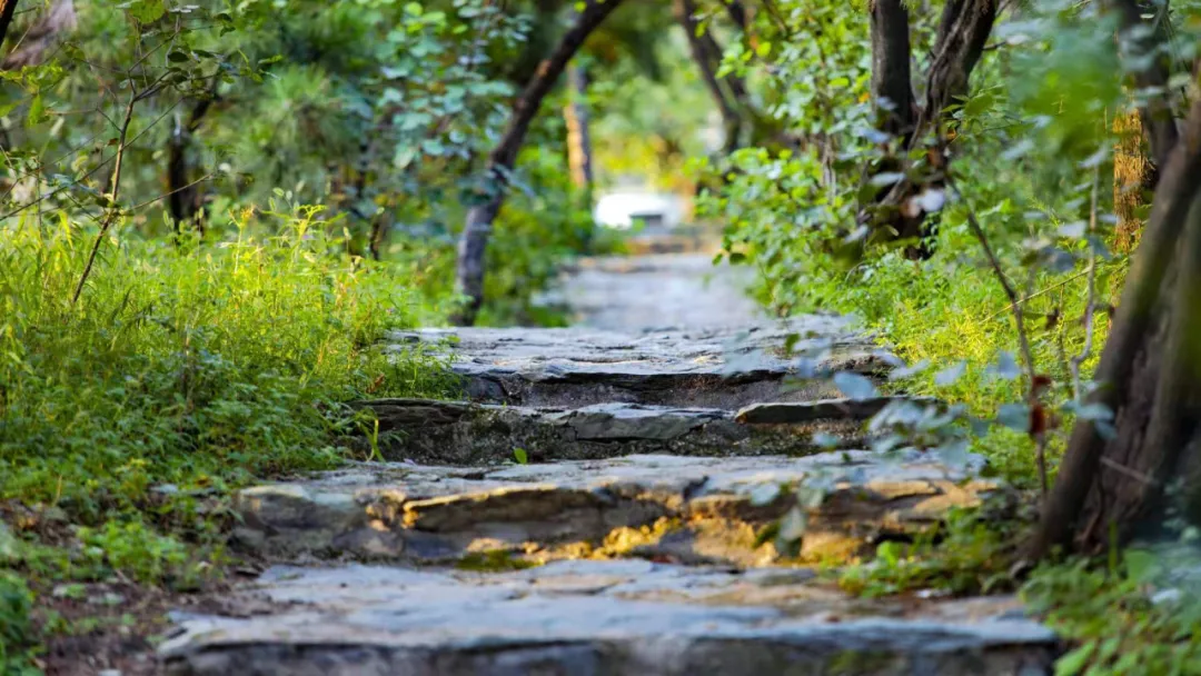 湘粤古道上，细数千年的繁华印记