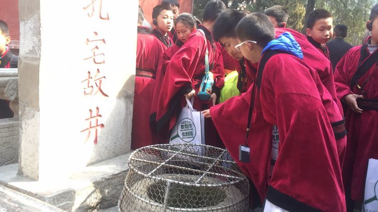 “君子风范”研学之旅——济南市莱芜区花园学校“书虫部落”中队走进曲阜