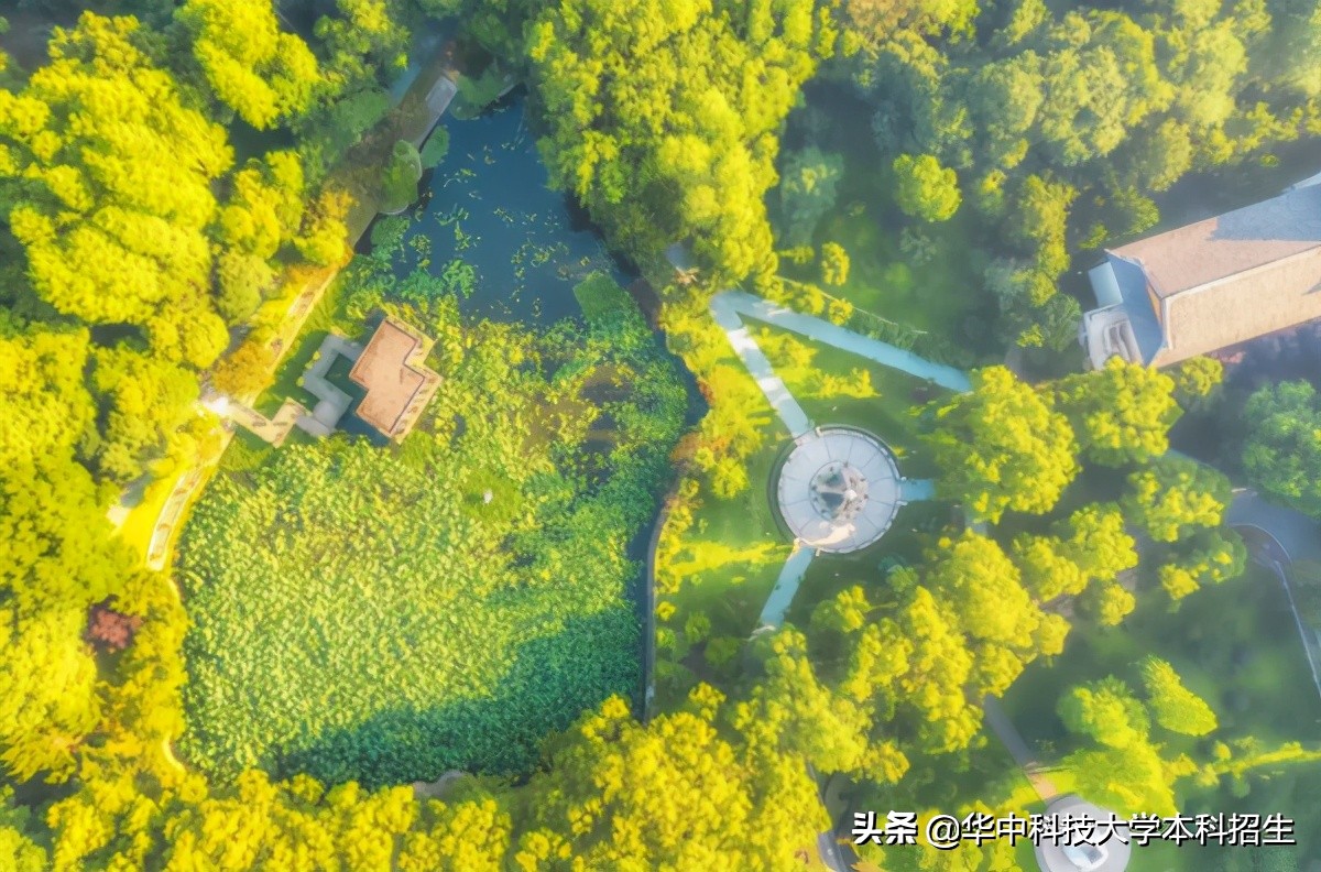 坐拥18位院士，培养出年薪200万的天才少年，华中科技大学超硬核！