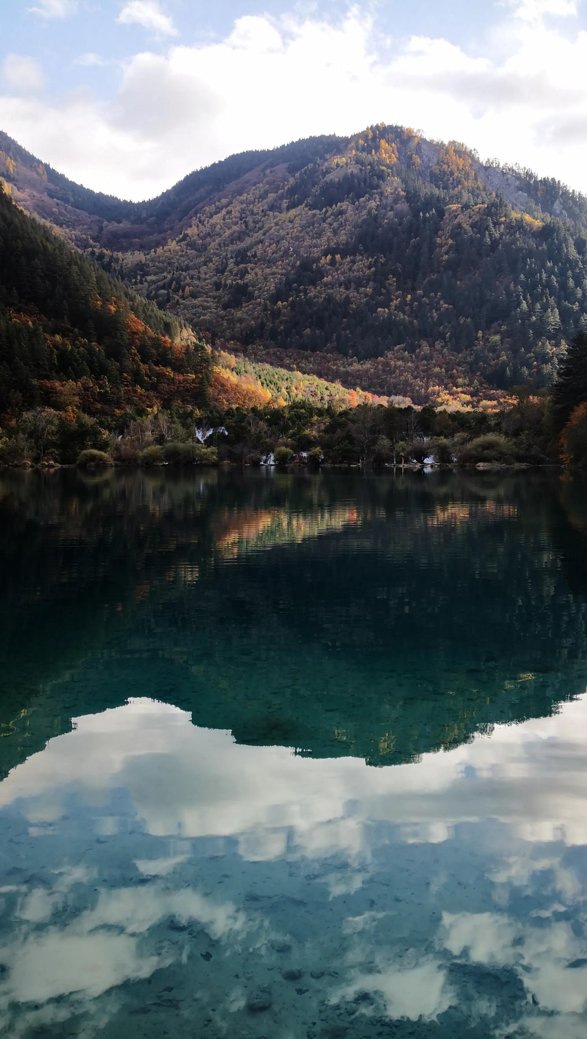 手拍世界（手机摄影平台）-群员作品集（总第733期）