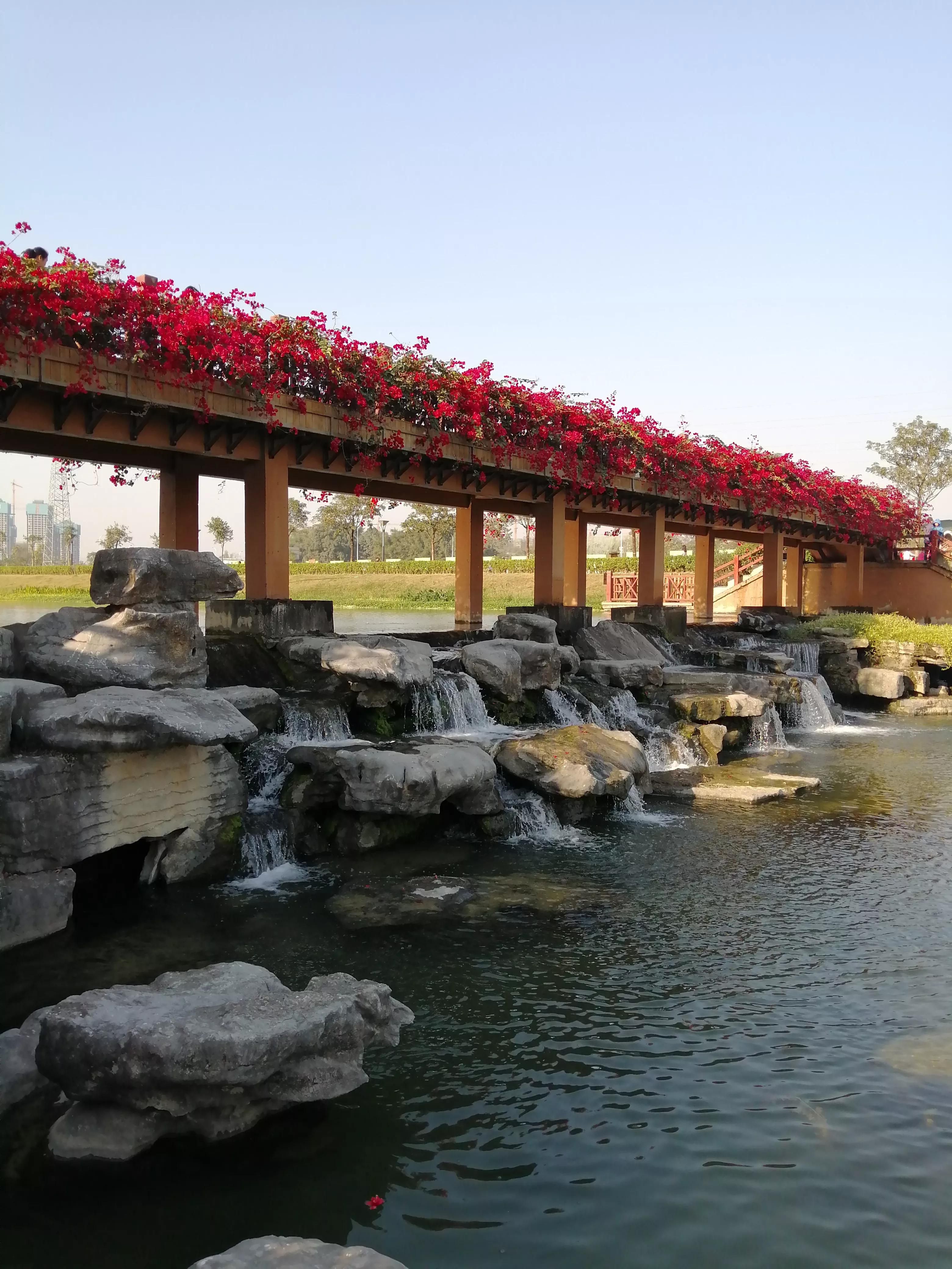 4个步骤告诉你怎样开始写作