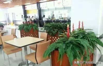 吃货来集合，盘点广东30所专科院校饭堂美食情况啦~欢迎指正哦~