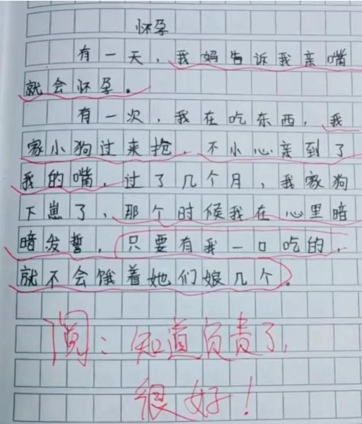 小学生作文《祖国》走红，短短3行25个字，将爱国情怀写到尽兴