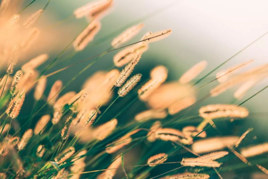 68句经典古诗文，助你写出漂亮的年终总结！（收藏了慢慢用）