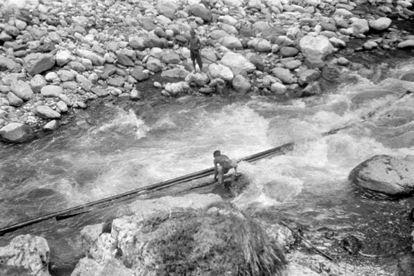 杜甫在《登高》中写“无边落木萧萧下”，为何是落木，而非落叶？(无边落木萧萧下的平)