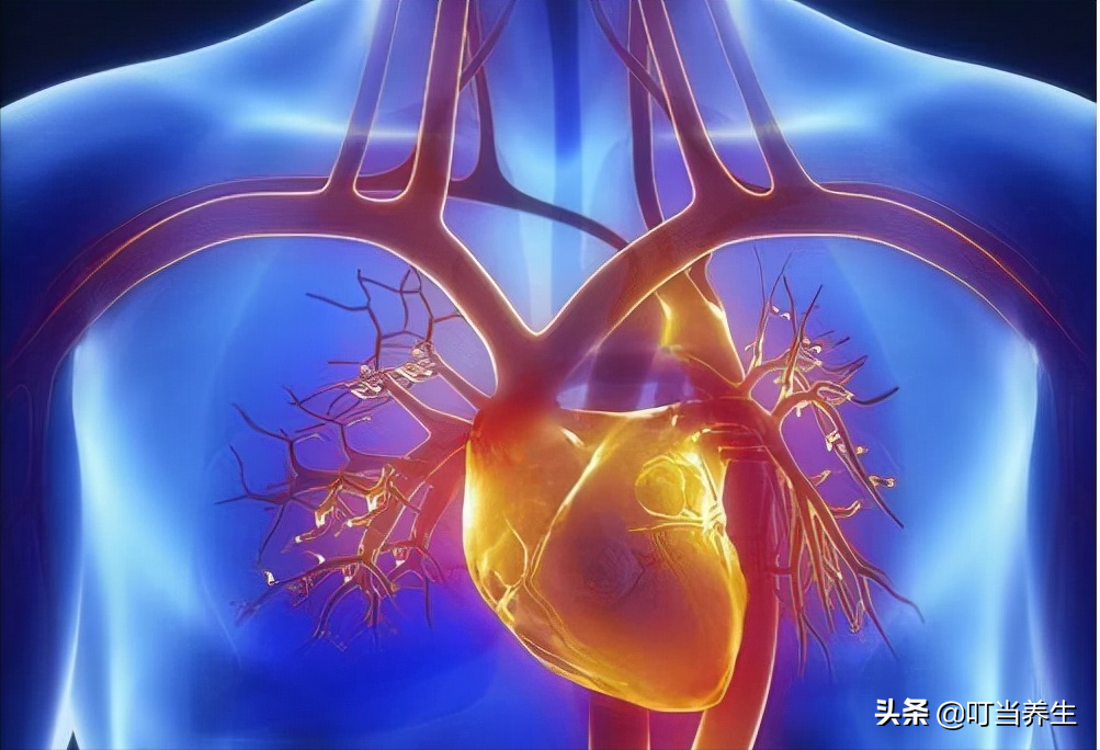 而其中人体内的主要器官分为脏和腑两大类,其中脏,包括括心,肝,脾,肺