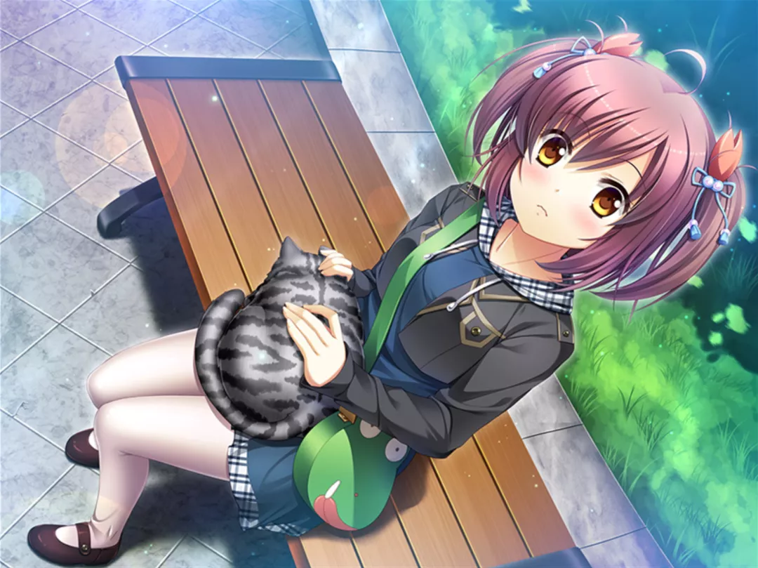 又逢高考丨当年高考前没能说出口的表白，或许可以用这款游戏弥补