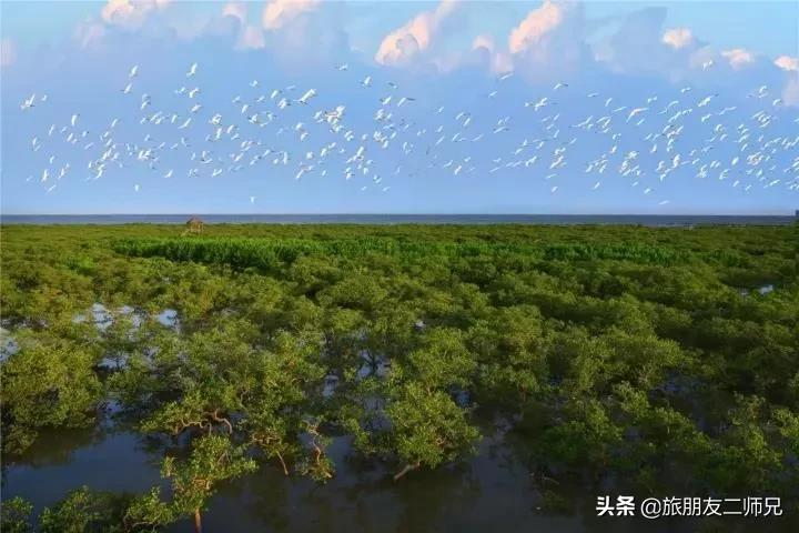 广州出发-广西容县3天游｜醉美中国风，民国小镇，旗袍秀