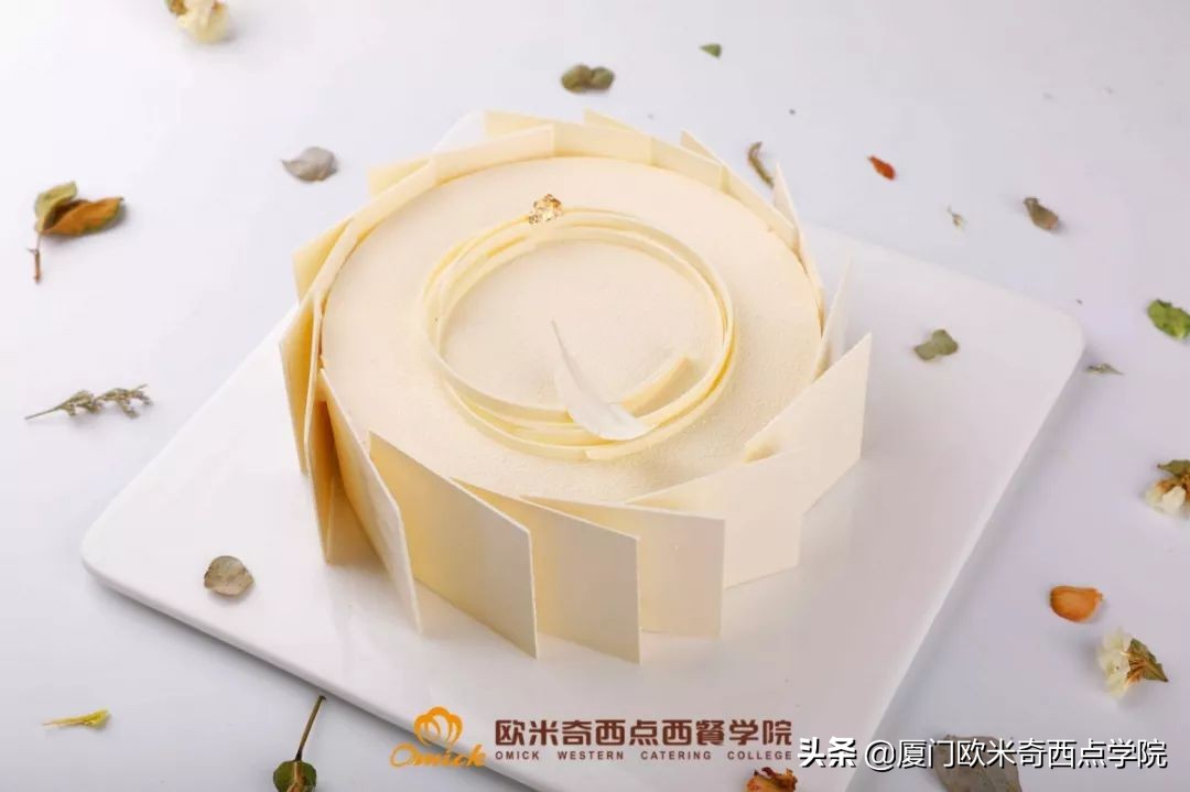 总觉得学费太贵？可我们贵有贵的道理