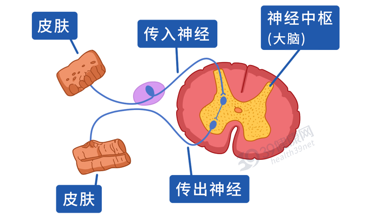 被闪电击中时，我们的身体会发生什么变化？死亡前会经历什么？