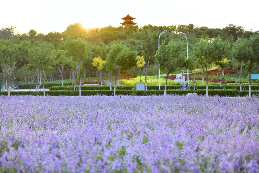 多少分能上天津中医药大学？