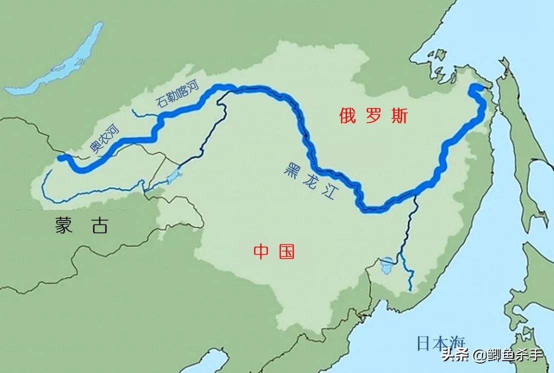 "黑龙江的危机"达氏鳇濒临灭绝,放流成了俄罗斯的"嫁衣"?