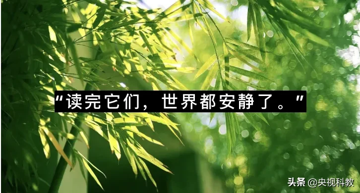 四字成语唯美(目成心许、耕云种月，这些“治愈系”成语让人沉醉)