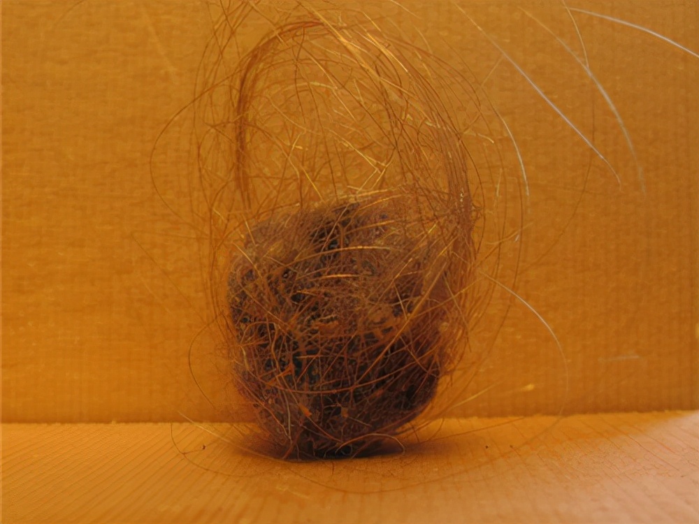 团子少女毛衣啪啪图片(这年头连灰都有人当宝贝收集) - 赤虎壹号