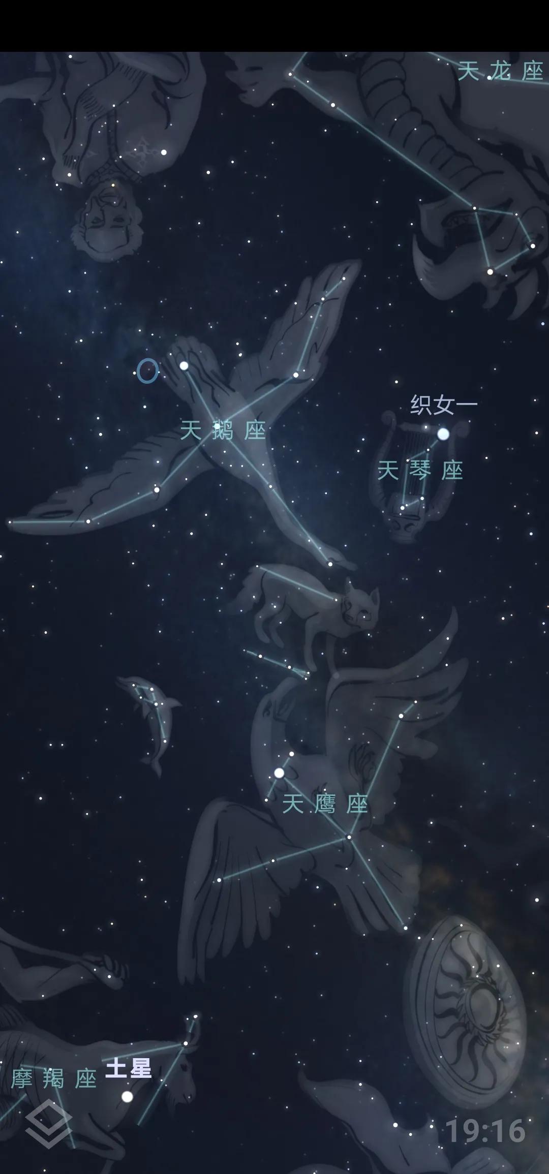 88星座61天鵝座 & 天鷹座