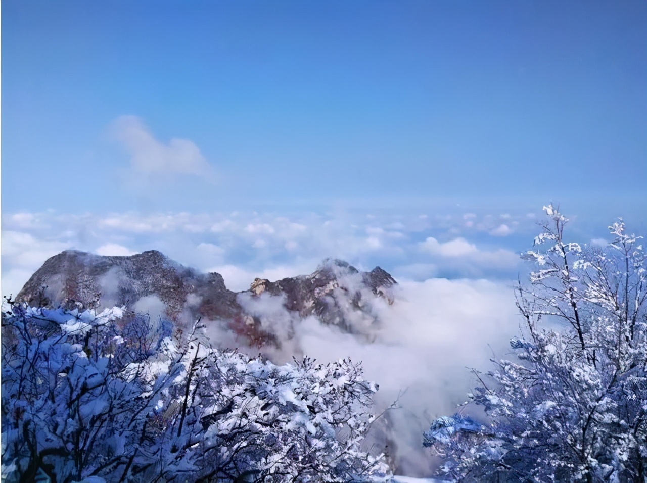 雪后华山，才是真正的侠客江湖：飞雪连天射白鹿，笑书神侠倚碧鸳