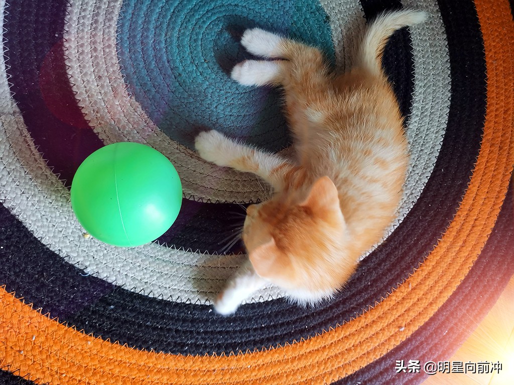 做一名练习生必需具备的条件（4）-家庭经济条件