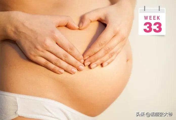 1至40周胎儿发育过程图