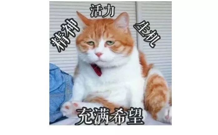 英语语法里，谁先、谁后发生很重要么？过去完成时：“嗯”