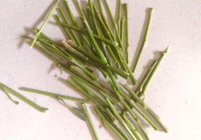 在家自制生根粉,多肉砍头、植物扦插都能用,不易黑腐,快速生根