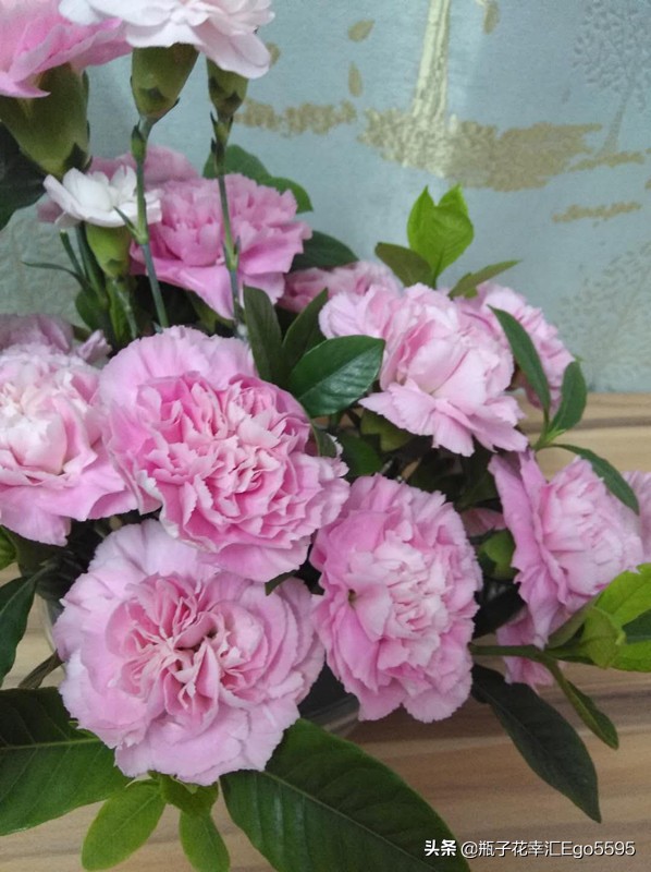 红色康乃馨花语(红色康乃馨代表什么意思) - 爱book