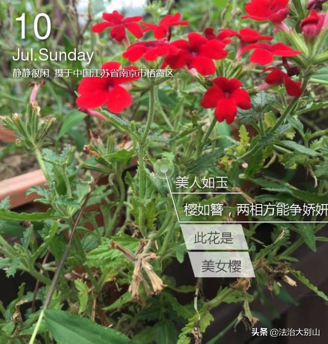 高考在即，黄冈中学名师教你各科踢好