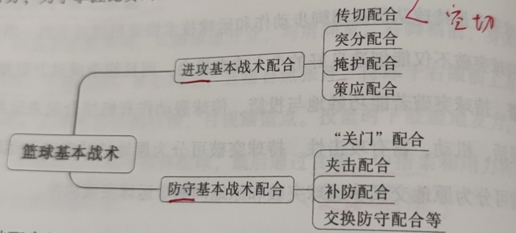 篮球比赛分为多少步(硬核科普~  篮球运动的主要技术、战术)