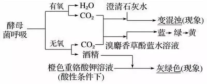 涵盖高中所有生物实验知识点
