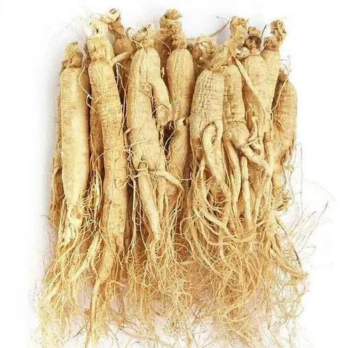北方藥材,北方藥材種植項目哪種最好