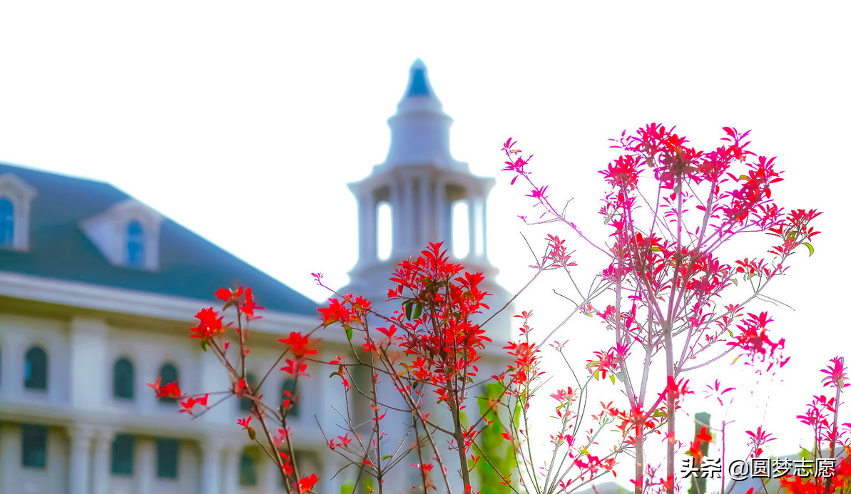 上课可以抽烟！我国9所开设烟草专业的大学（包括两所211）