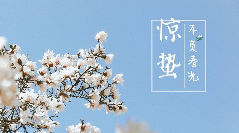 要到惊蛰了，老话说“惊蛰雷声起，谷米贱似泥”，啥意思？